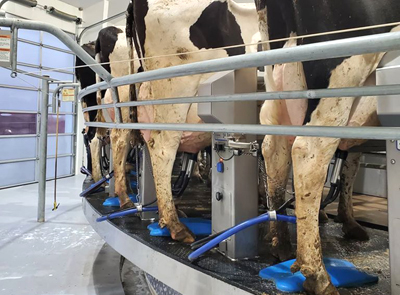 Parlors & Robotic Milking Equip